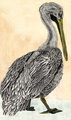 Image Not Available
